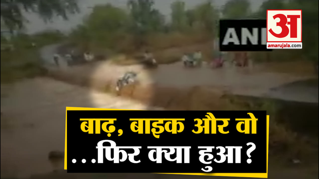 वायरल वीडियो