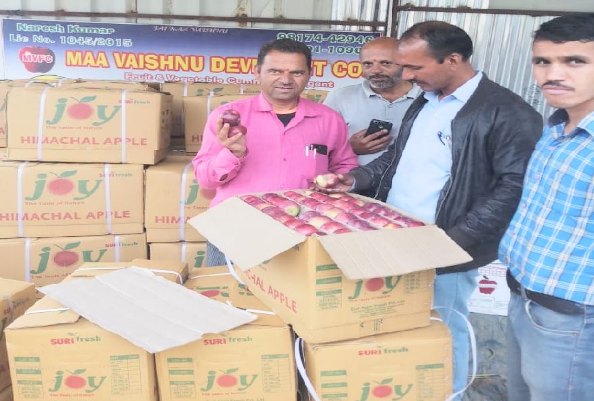 Early Variety's Apple of himachal Reached in Markets