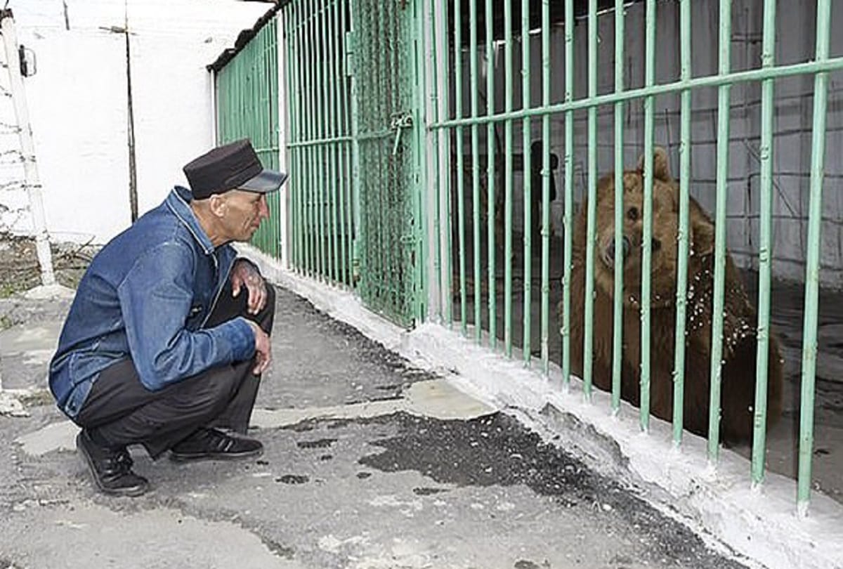 Bear serves life sentence in kostanay jail kazakhstan with dangerous criminals
