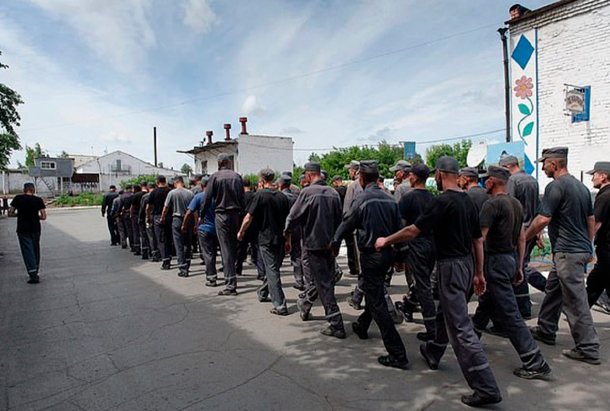 Bear serves life sentence in kostanay jail kazakhstan with dangerous criminals