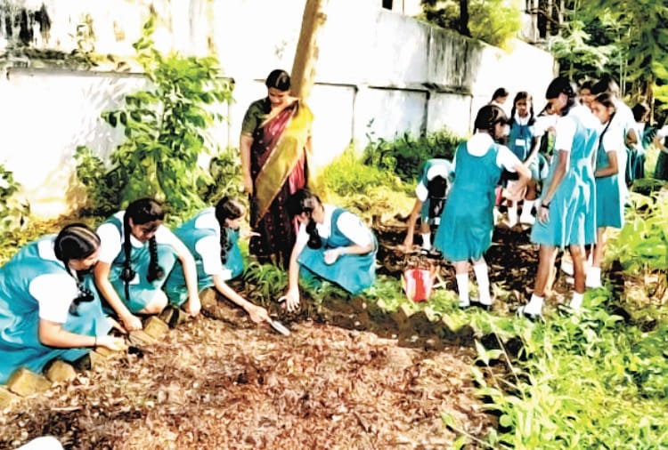 kitchen gardens in schools, vegetable and fruits farming in schools, mid day meal