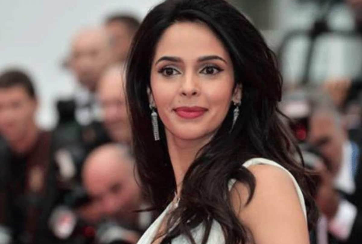 Shah rukh Khan Chitrangada Singh Sonu Sood Mallika Sherawat Ayushmann Khurrana Arjun Rampal Sunil Shetty R Madhavan Sunny Leone did bollywood debut after marriage