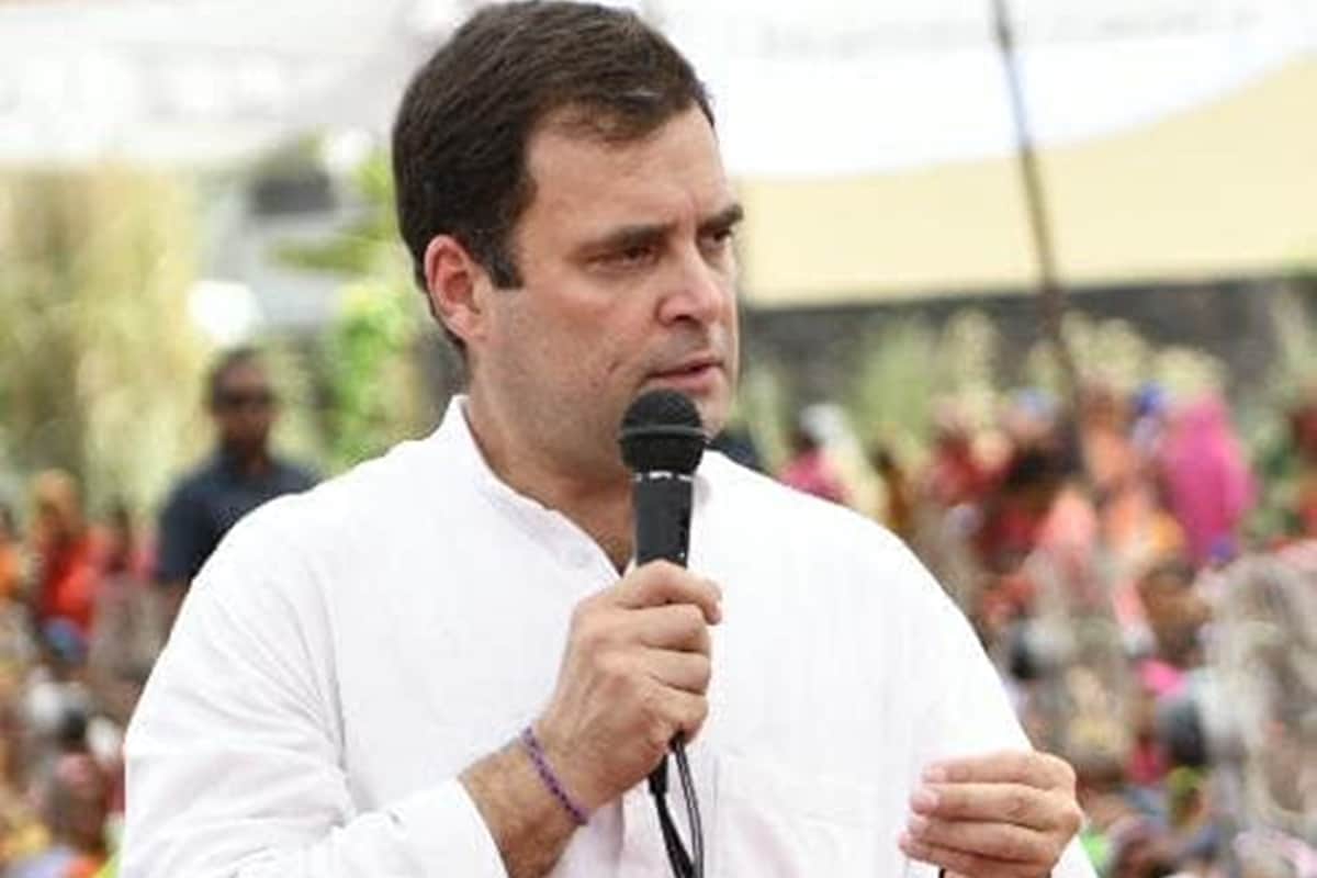 Rahul Gandhi watching Article 15 at cinema hall Here Are Social Media Reation