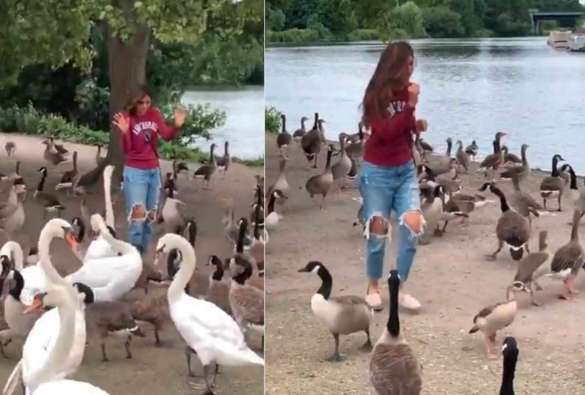 shilpa shetty share a video from london and she got scared of a duck