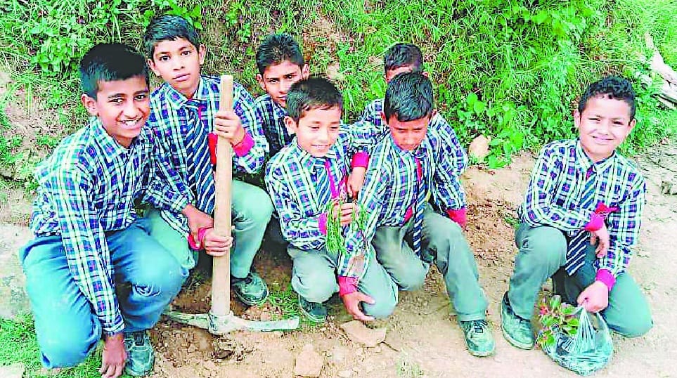 Plantation will be done on Harela Festival