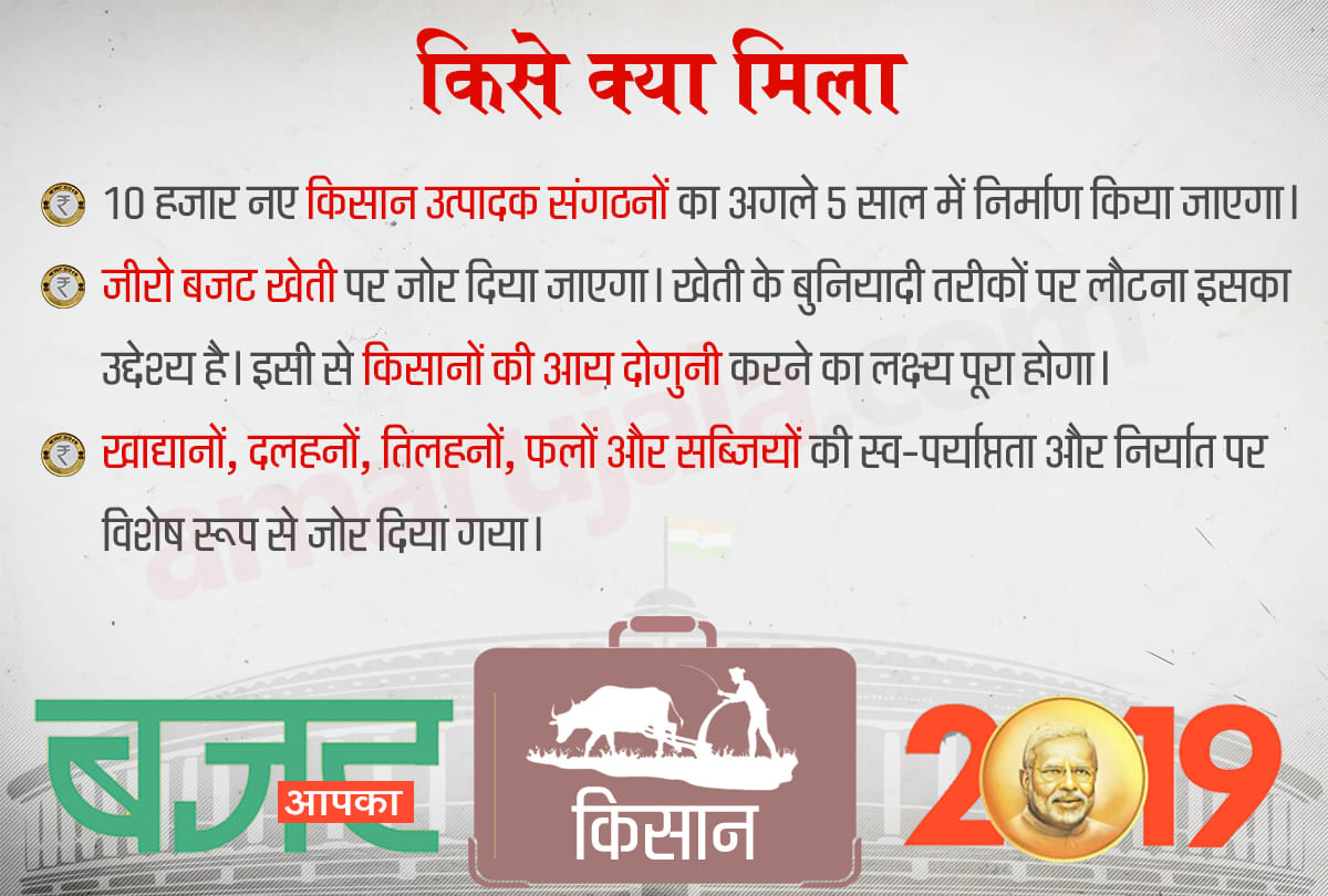 Budget 2019 : know who will get benefits of this budget and what are these benefits