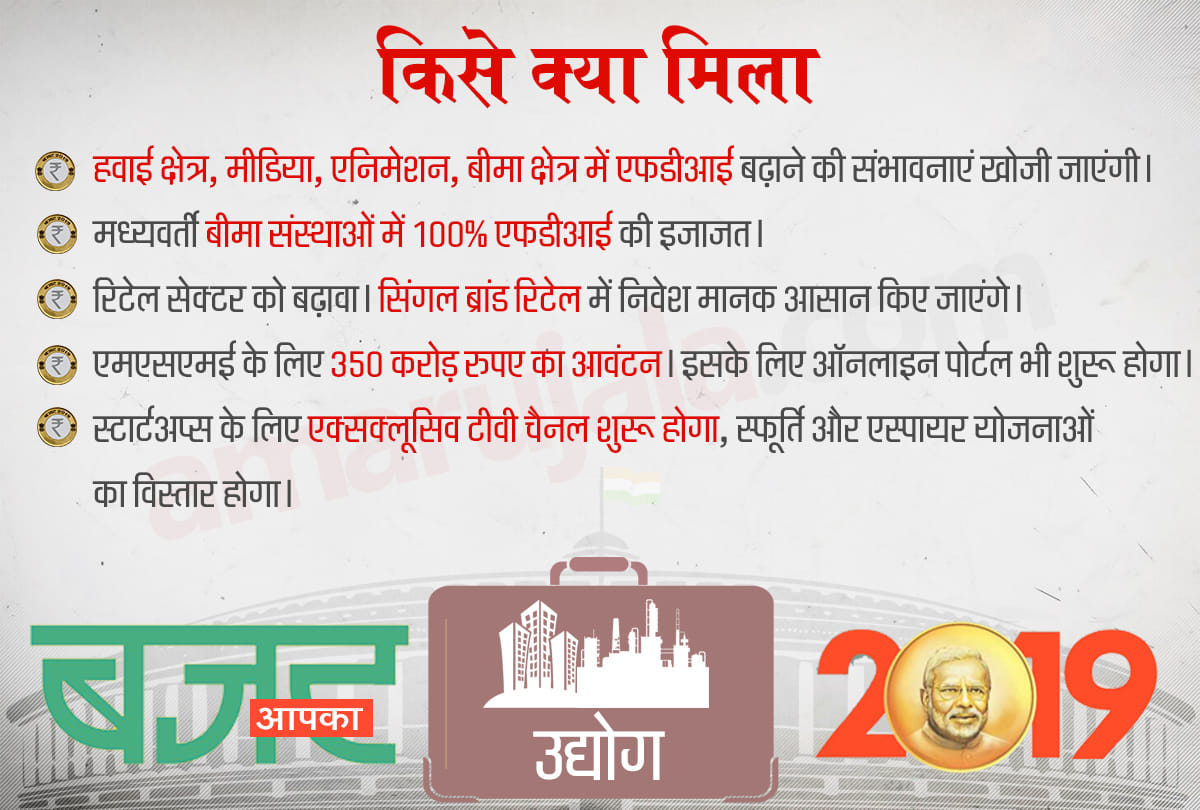 Budget 2019 : know who will get benefits of this budget and what are these benefits