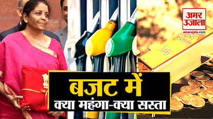 Finance Minister Nirmala Sitharaman presented the country's budget