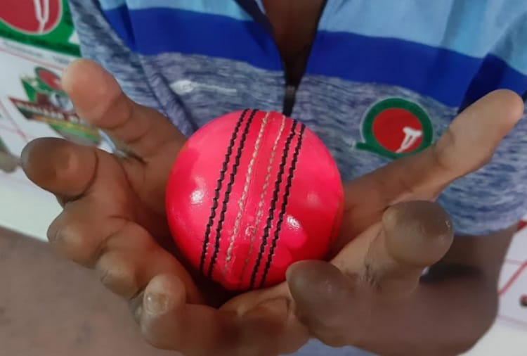 disabled cricket world cup 2019, disabled cricketer ramesh naidu success story