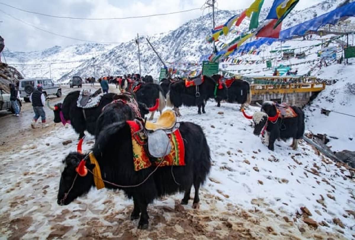 Cheapest travel destinations gangtok sikkim things to do 5 best place to visit