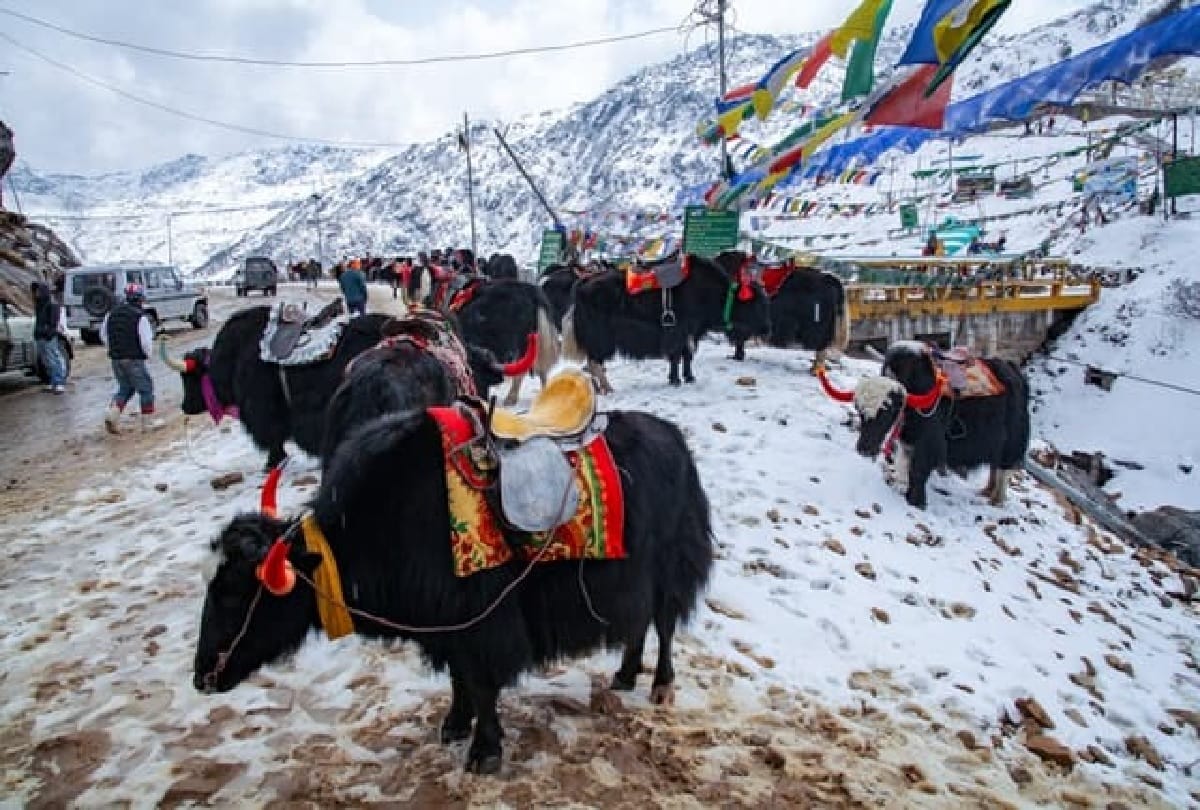 Low Budget Winter Destination in India Cheap Tour Plan 5 Cheapest tour Destination in India