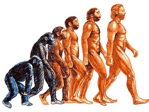 Interpolation : Due to living in double reality, we rule the earth