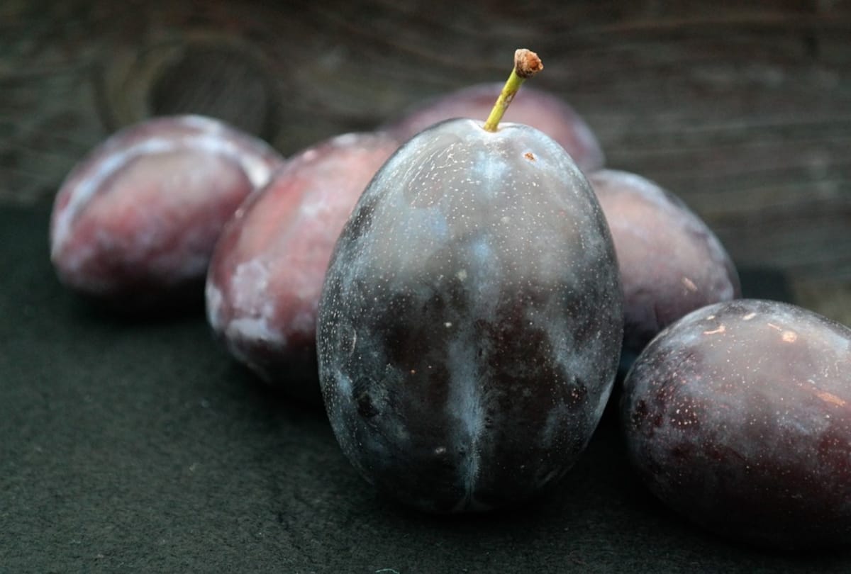 include jamun in daily diet beneficial for body parts
