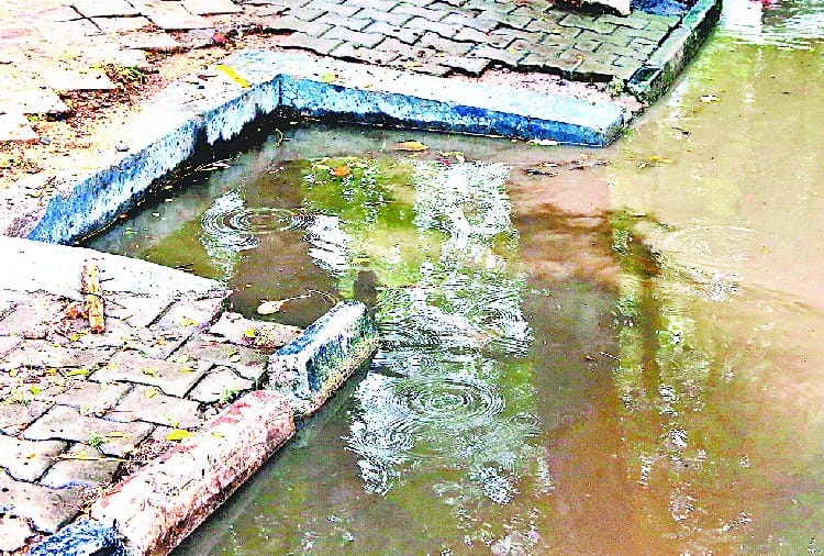 chandigarh roads full of water and garbage after pre monsoon rain