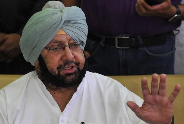 punjab cm captain amrinder singh statement on rahul gandhi resign from congress president post