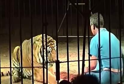 एटोर वेबर (फाइल फोटो)