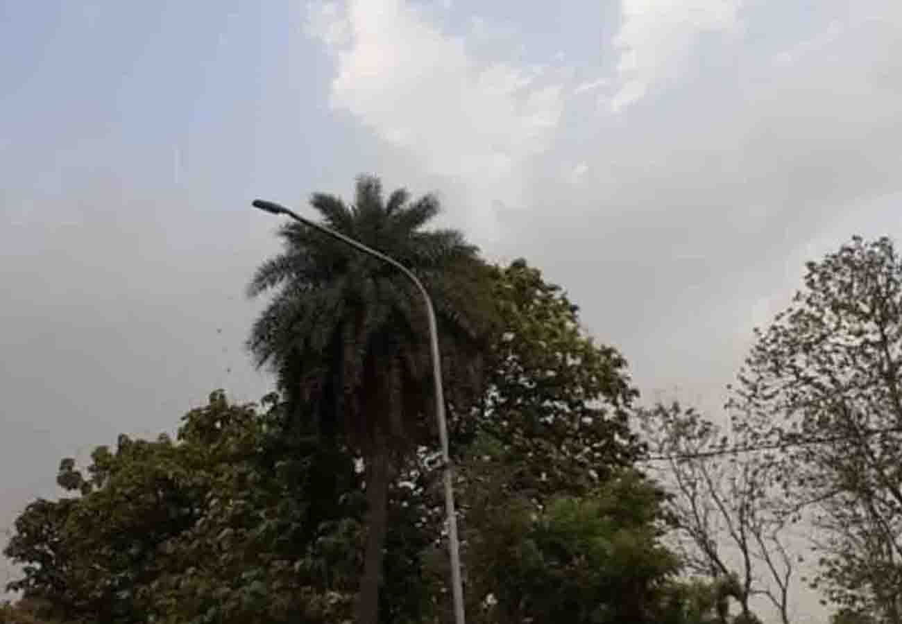 Weather Report Today: Weather department warns of rain in these cities of up