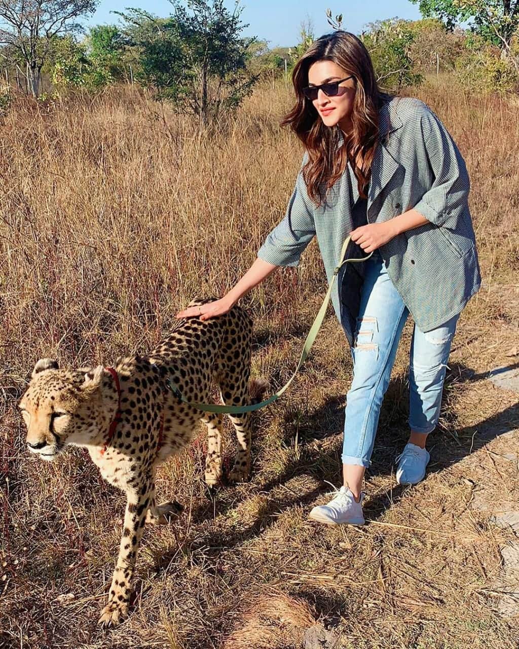 Kriti Sanon being trolled for pics with wild animals