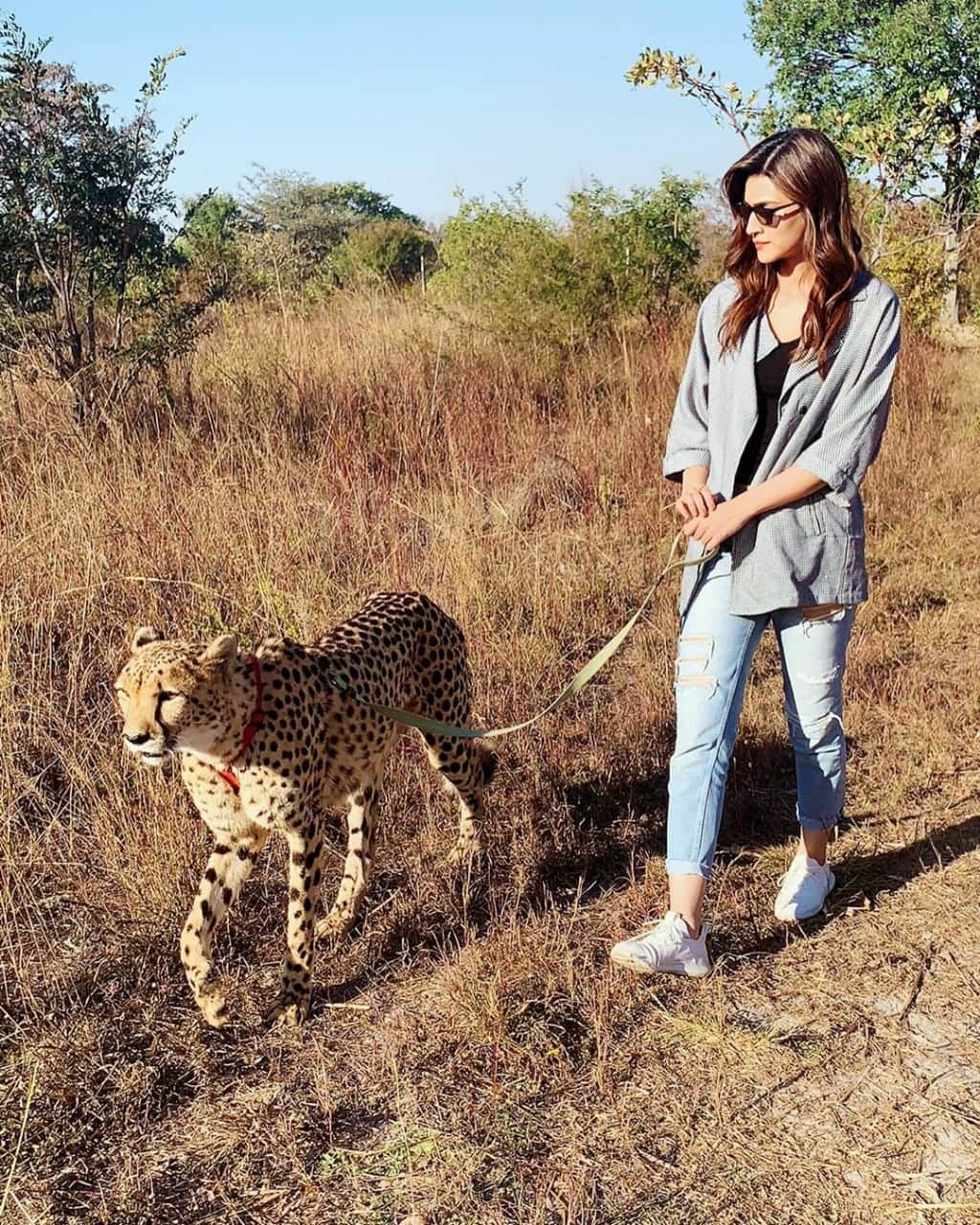 Kriti Sanon being trolled for pics with wild animals