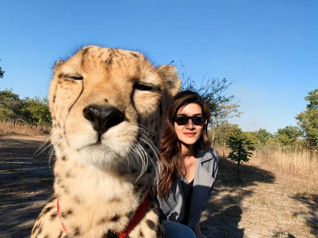 Kriti Sanon Birthday Special Some Unknown Facts About her life