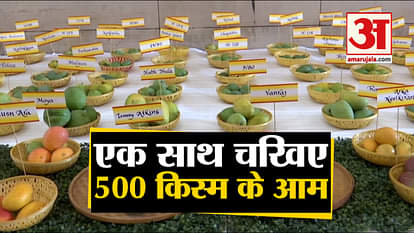 Over 500 varieties of mangoes on display at Delhi’s 31st Mango Festival