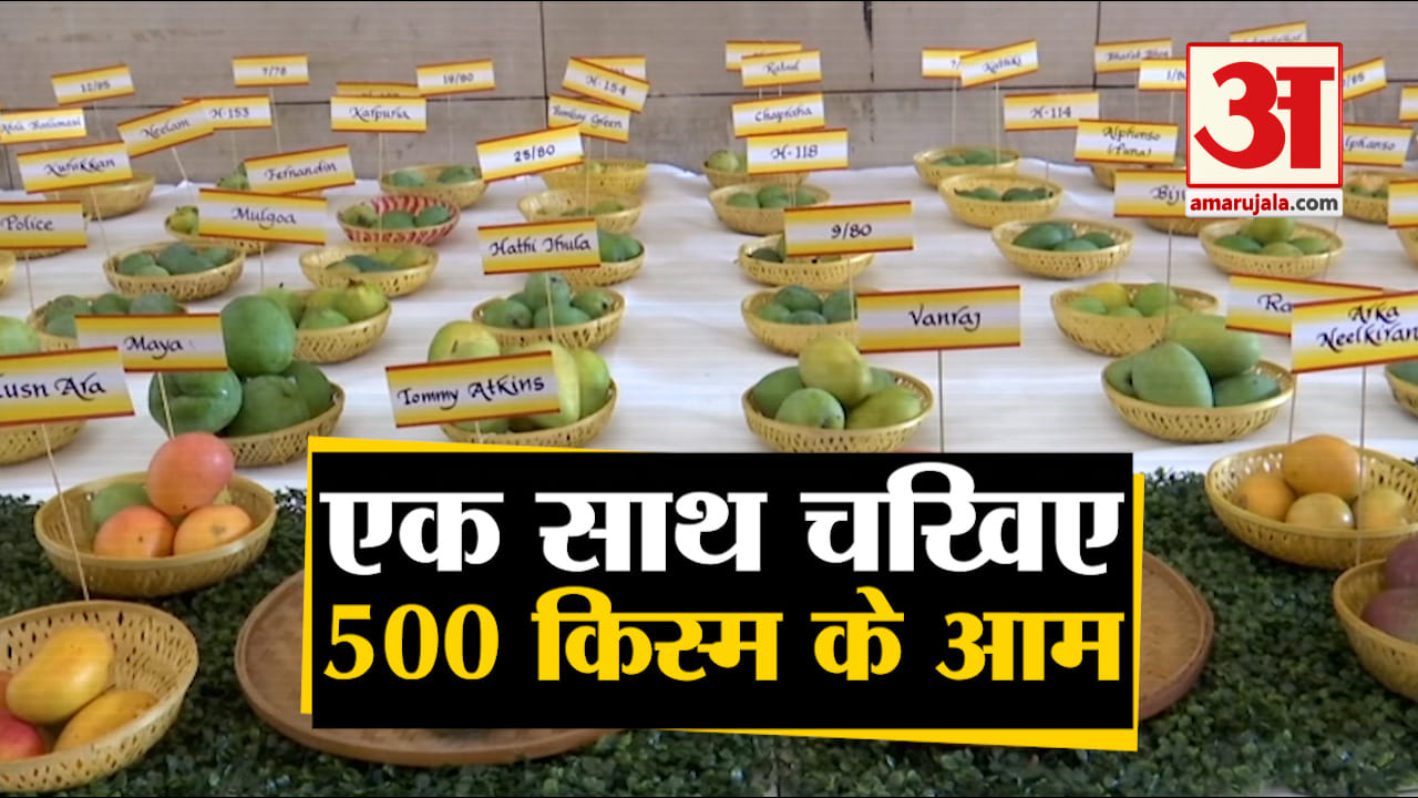 आम