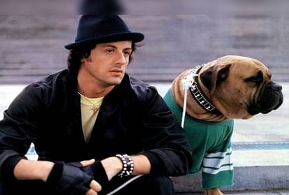 Sylvester Stallone sold his dog to buy food when he was poor