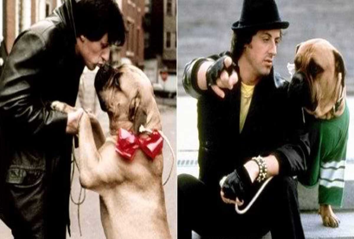 Sylvester Stallone sold his dog to buy food when he was poor