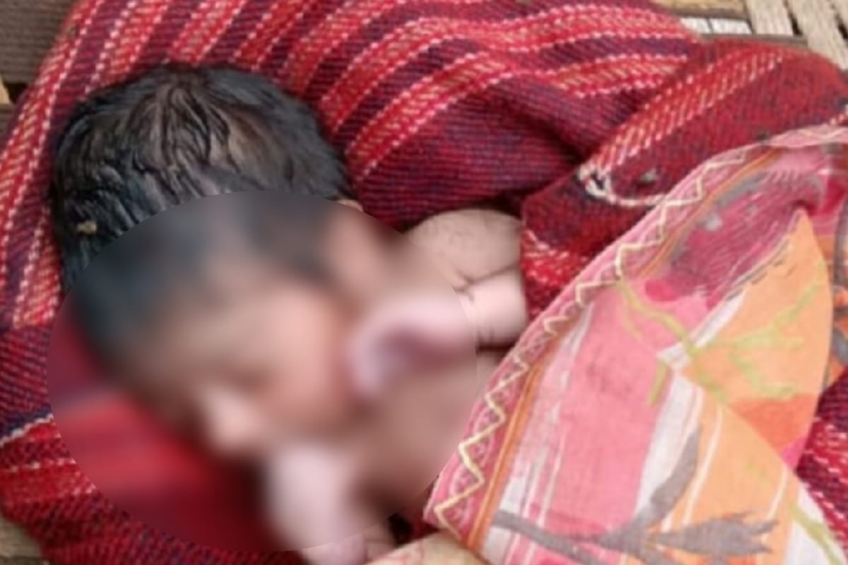 Newborn baby found in unclaimed condition in bushes in shamli district