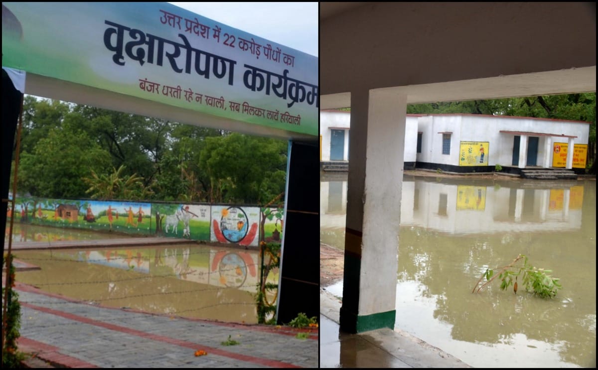 navgrah vatika submerged in rain pm plantation in varanasi