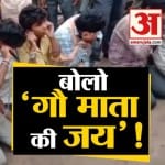 गौ तस्करी
