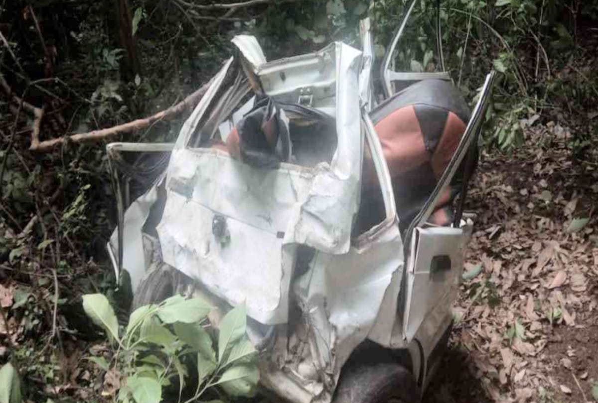 two died after car fell into deep trench on rajgarh solan road