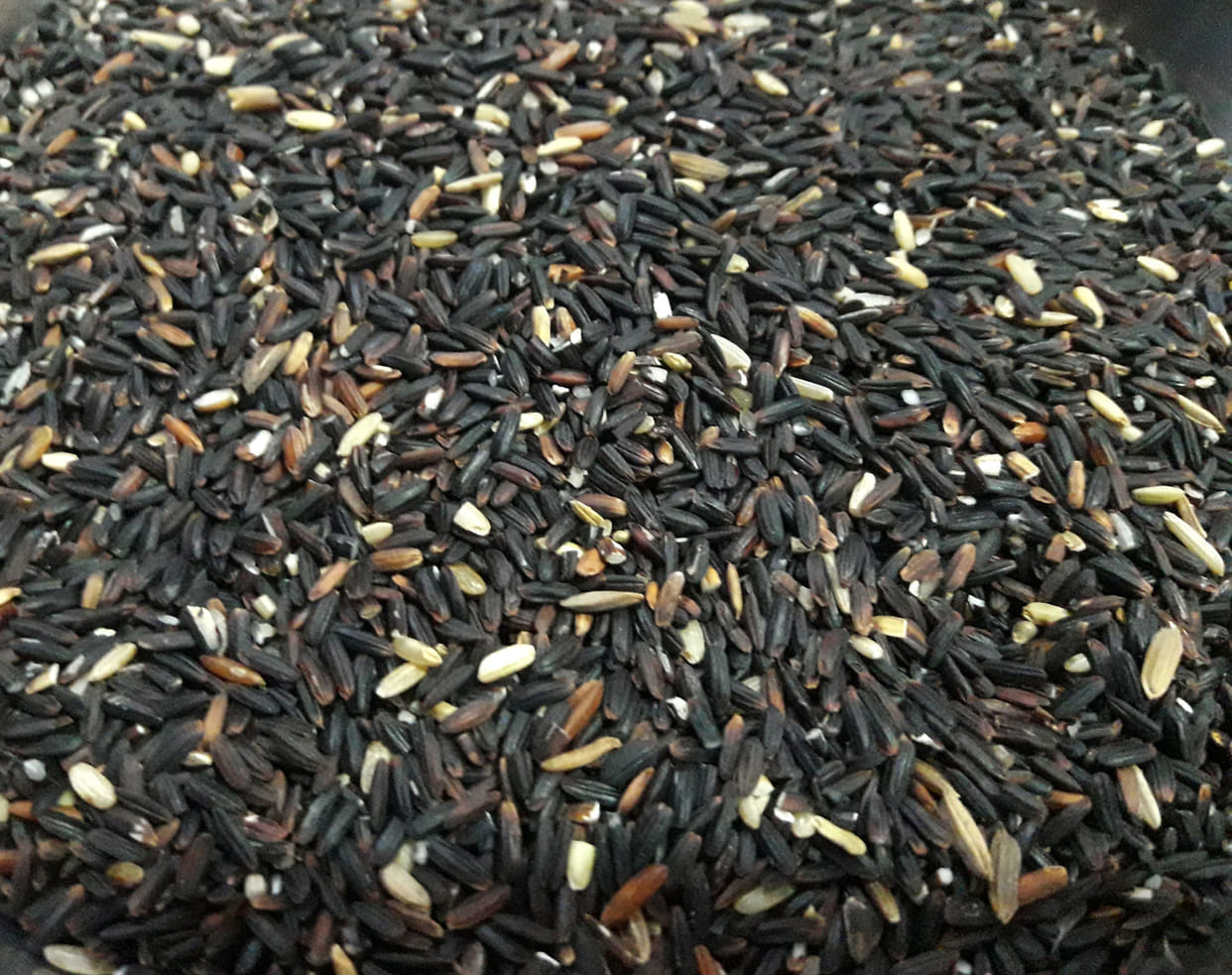 Black rice: Nutrient farming as well as cultivation