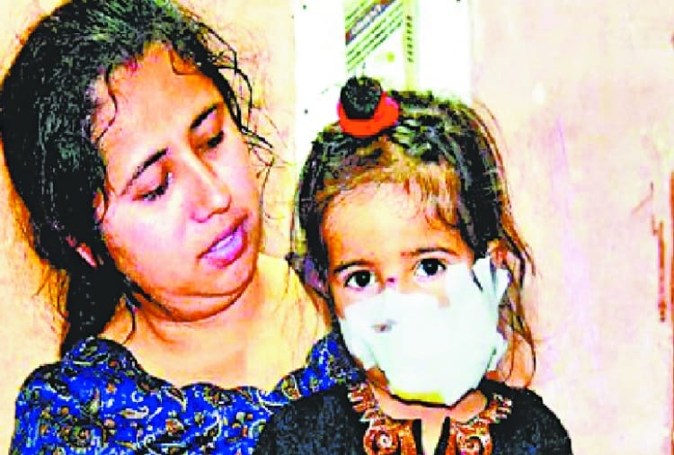 terror of stray dogs in mohali, nagar nigam