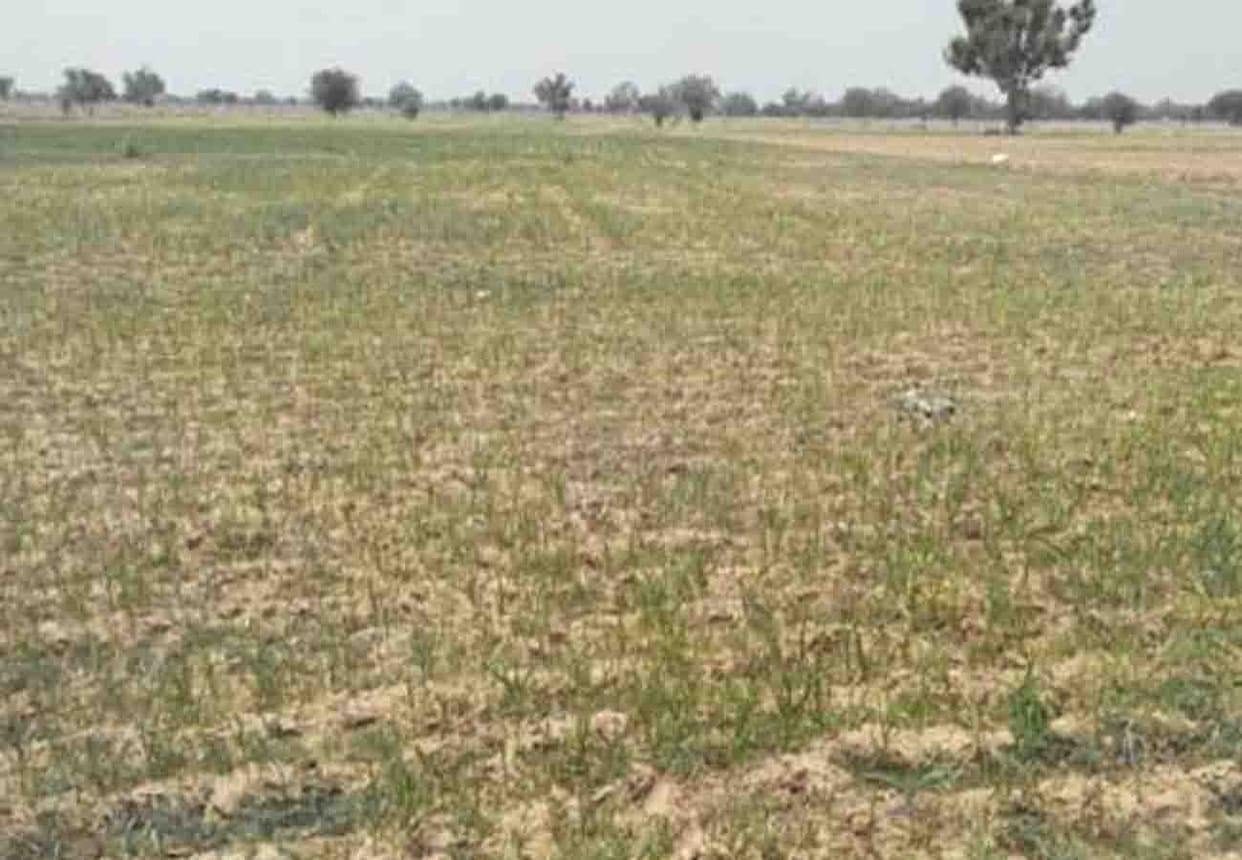 Worker body found in farm in hardoi