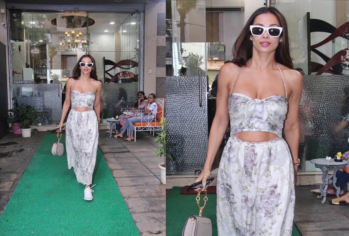 Bollywood News: Fans surprised when Malaika Arora boarded Chandigarh flight