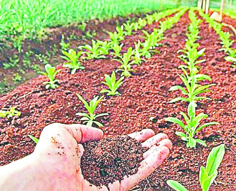 Fertility is low due to depletion of organic capacity, land may be barren
