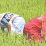 सांकेतिक तस्वीर