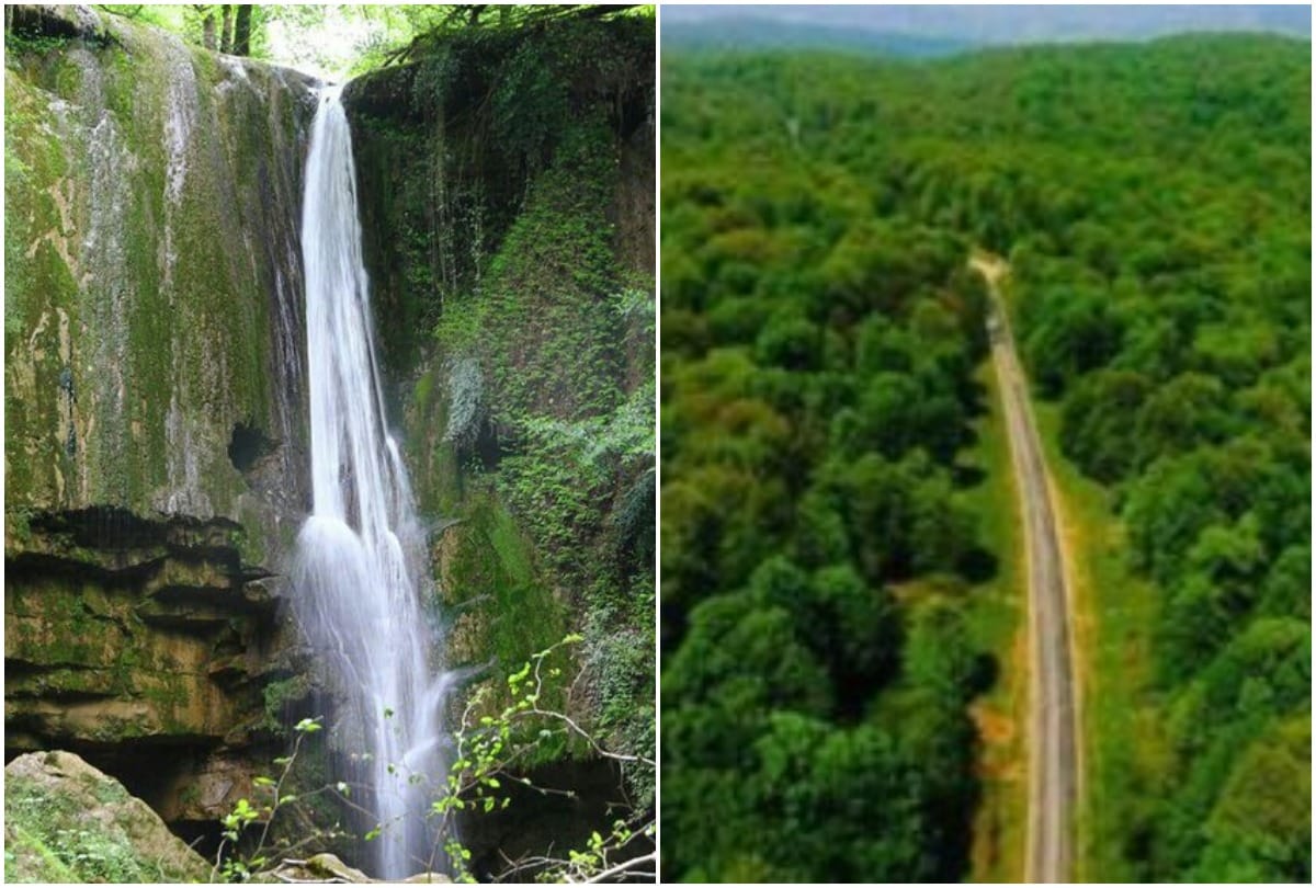 UNESCO adds Iranian forest to World Heritage List
