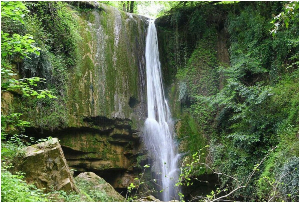 UNESCO adds Iranian forest to World Heritage List