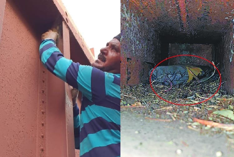 Customs Department recovered 945 grams heroin from a goods train In Amritsar