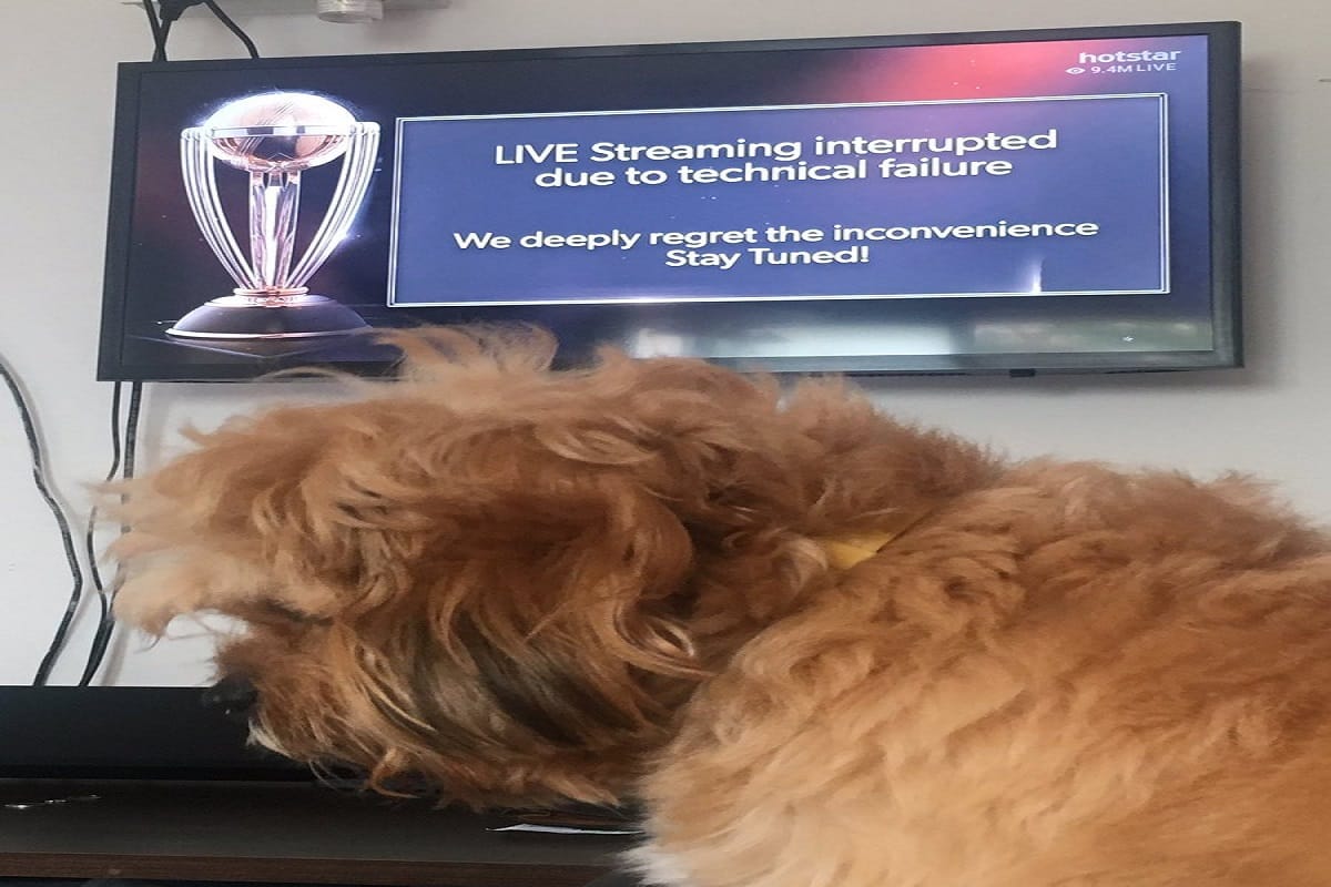 India vs New Zealand Live Stream on Hotstar Repeatedly Down, Users Complain on twitter