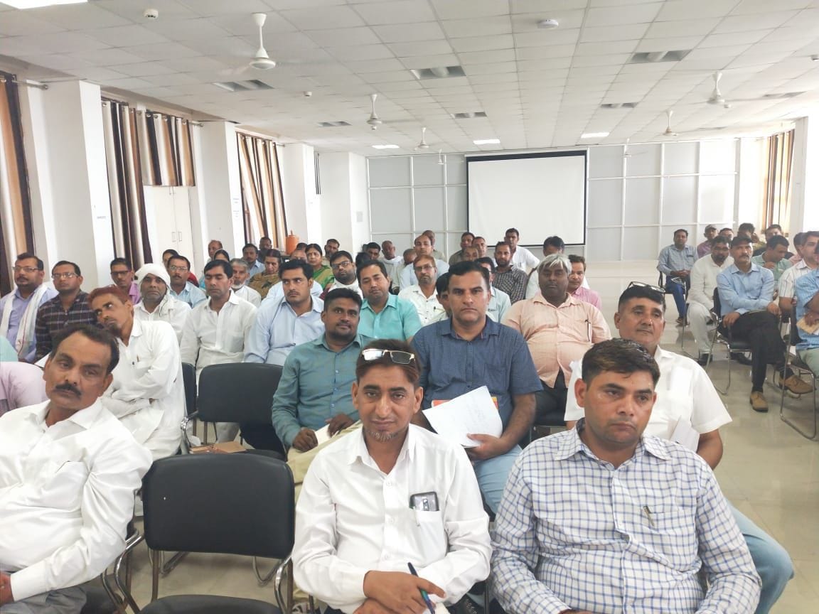 For the second stage of the examination, the education department has a waist