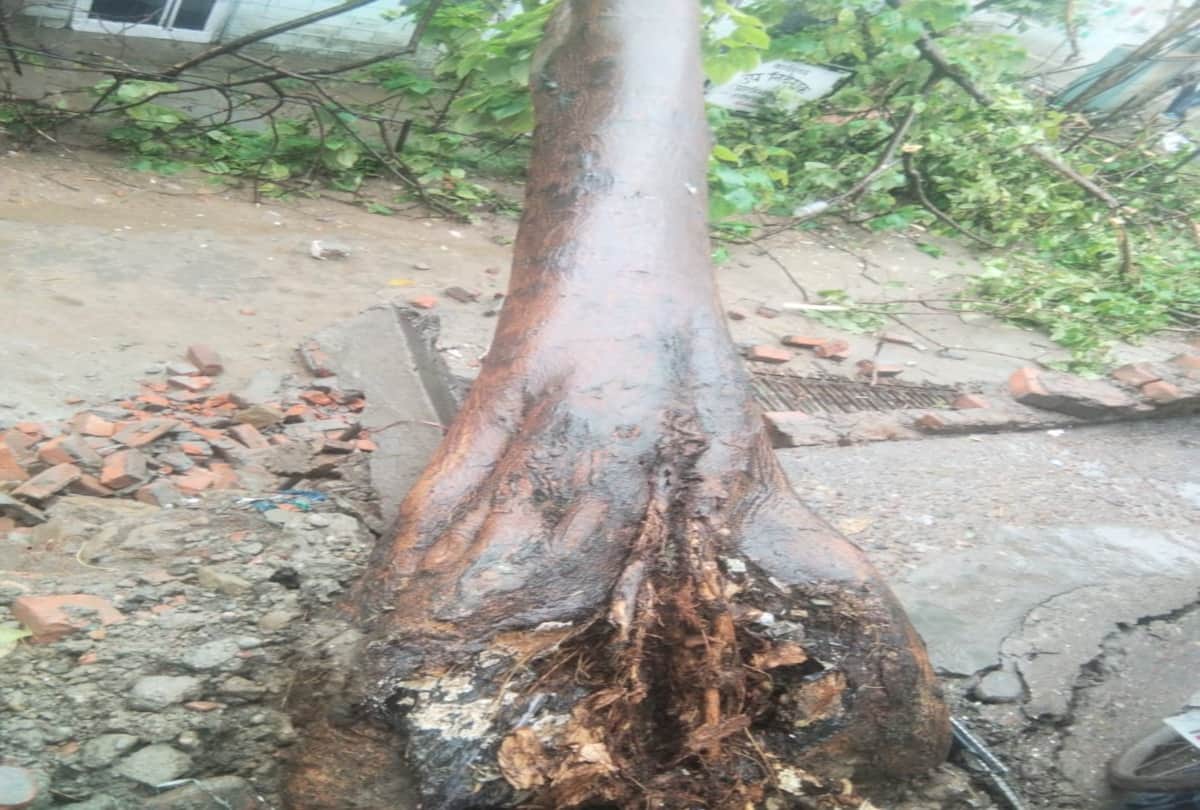 Shimla News Today: many roads closed and landslide in himachal after heavy rainfall