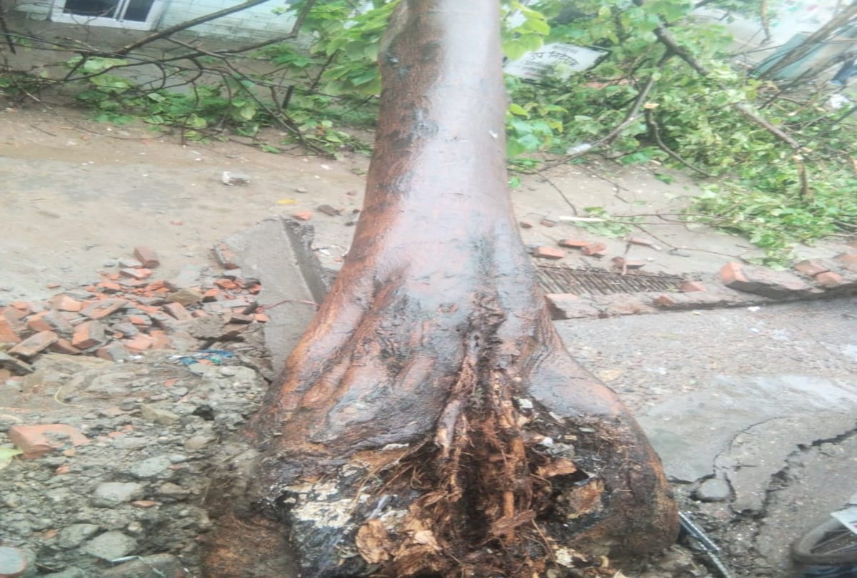 Shimla News Today: many roads closed and landslide in himachal after heavy rainfall