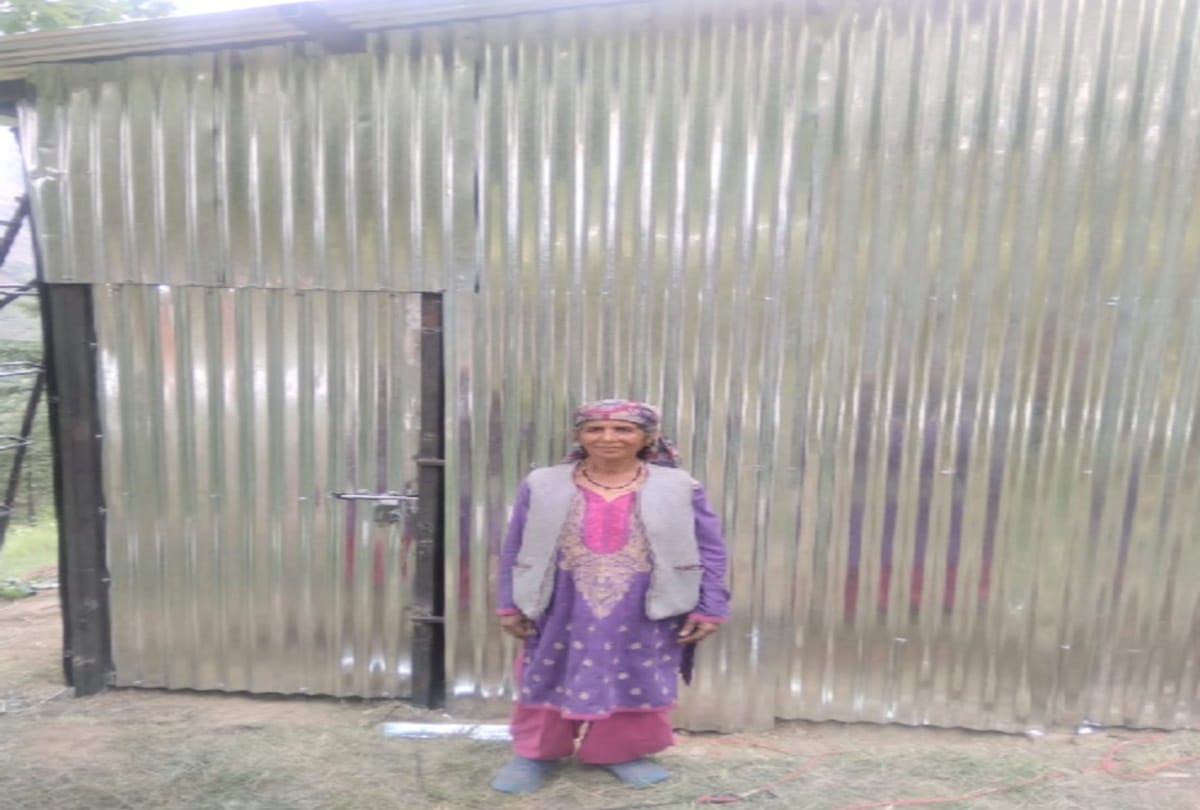 homeless woman got home after Viral video on social media in theog shimla