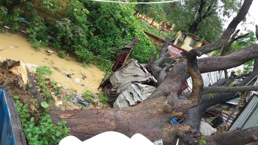 Trees falling from the storm and rainfall, water filled on the road