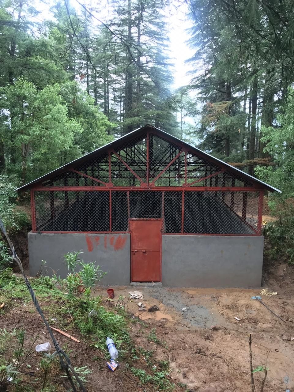 mc shimla
