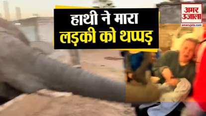 elephant attacks on a girl viral video