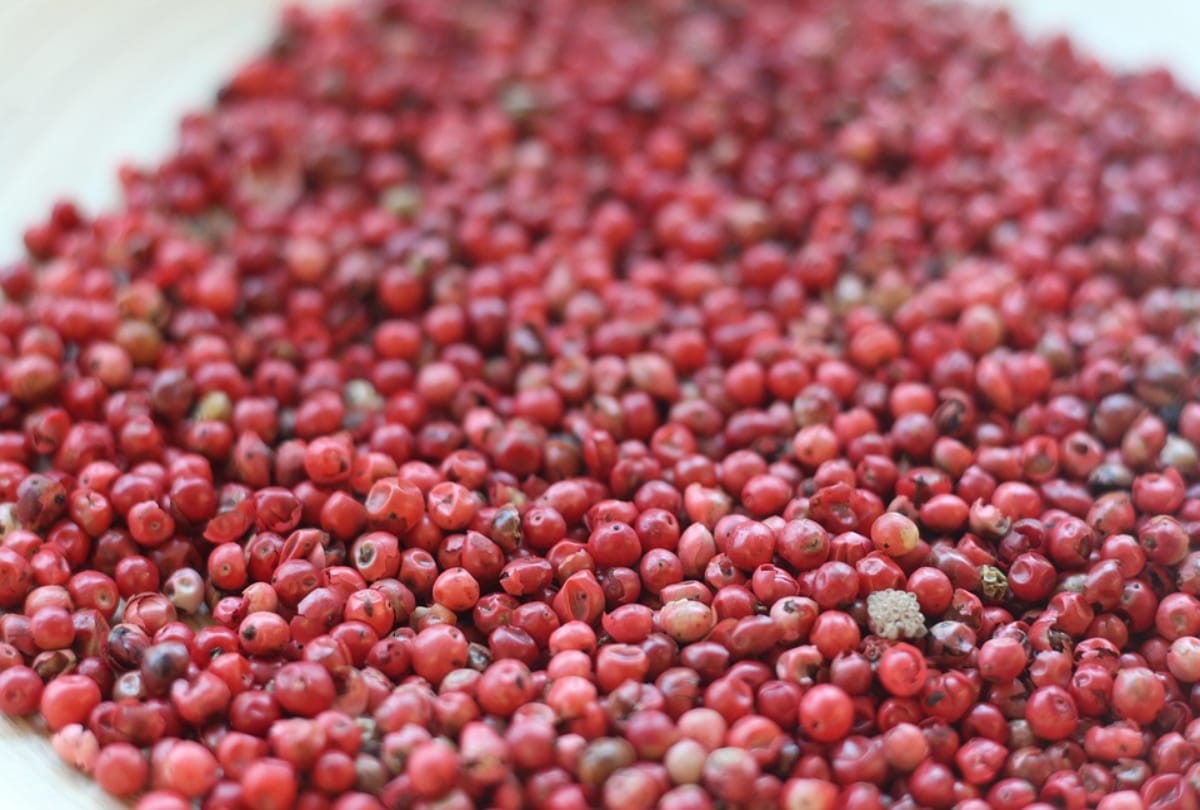 Different variety of pepper and its uses